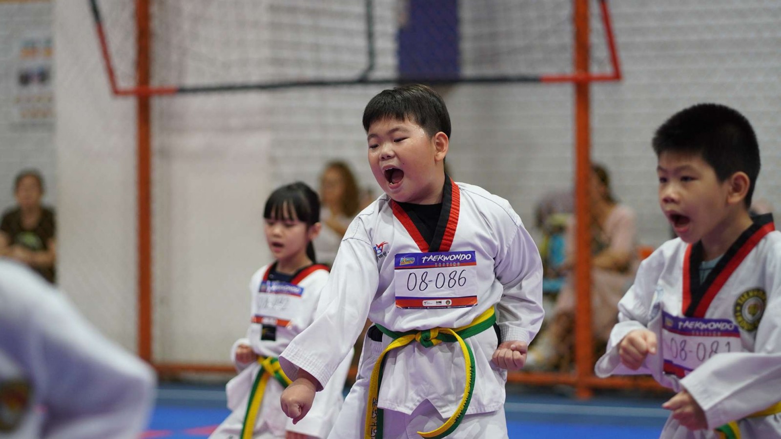  Pelajari Semua Teknik Blok Taekwondo: Panduan untuk Pemula